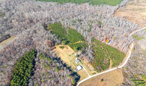 Photo #43 of 299 Arvian, Meherrin, VA 10.9 acres