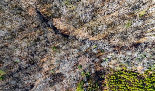 Photo #44 of 299 Arvian, Meherrin, VA 10.9 acres