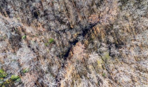 Photo #45 of 299 Arvian, Meherrin, VA 10.9 acres