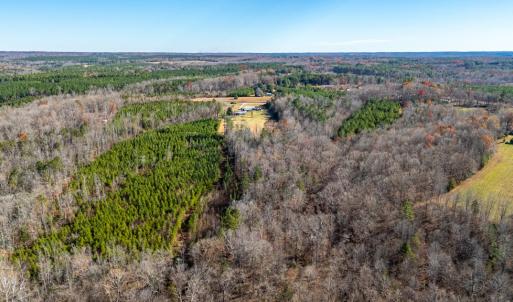 Photo #46 of 299 Arvian, Meherrin, VA 10.9 acres