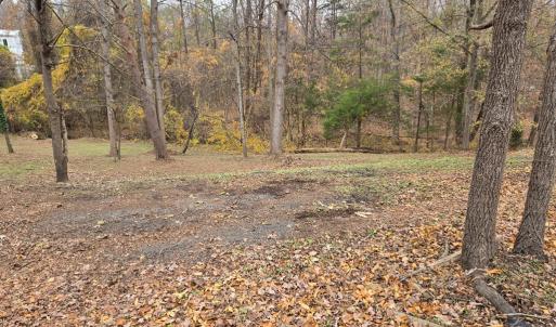 Photo #2 of 1700 Ward St., Farmville, VA 12.3 acres