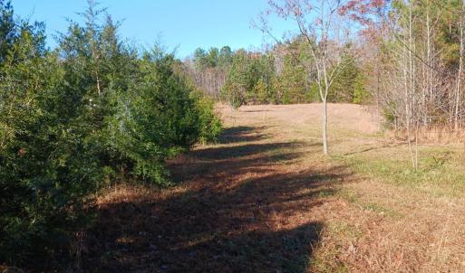 Photo #28 of 12232 Farmville Road, Meherrin, VA 3.0 acres