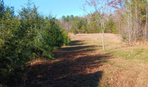 Photo #4 of 12232 Farmville Road, Meherrin, VA 3.0 acres