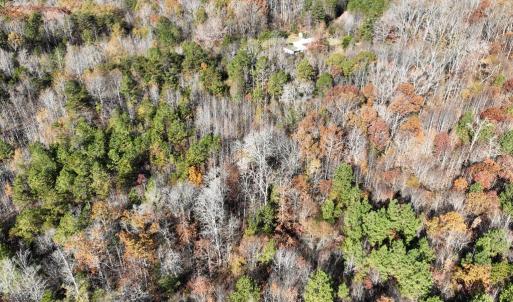 Photo #10 of 1101 Pineview Lane, Scottsburg, VA 17.2 acres