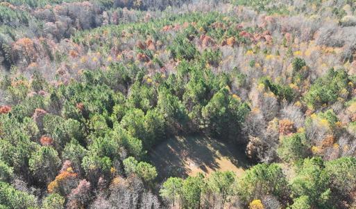 Photo #11 of 1101 Pineview Lane, Scottsburg, VA 17.2 acres