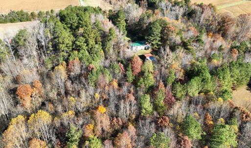 Photo #9 of 1101 Pineview Lane, Scottsburg, VA 17.2 acres