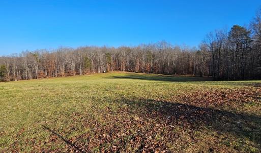 Photo #17 of 3814 S Constitution, Dillwyn, VA 43.8 acres