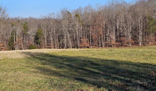 Photo #18 of 3814 S Constitution, Dillwyn, VA 43.8 acres