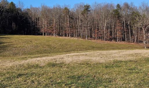 Photo #19 of 3814 S Constitution, Dillwyn, VA 43.8 acres