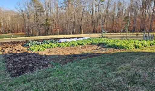 Photo #20 of 3814 S Constitution, Dillwyn, VA 43.8 acres