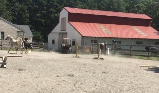 Photo #17 of 3151 Benchmark Trl, Amelia, VA 5.0 acres