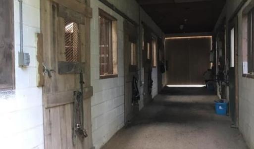 Photo #18 of 3151 Benchmark Trl, Amelia, VA 5.0 acres