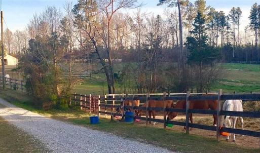 Photo #19 of 3151 Benchmark Trl, Amelia, VA 5.0 acres