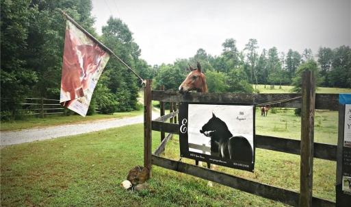 Photo #2 of 3151 Benchmark Trl, Amelia, VA 5.0 acres