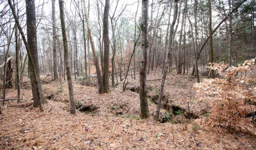 Photo #50 of 107 Cabells Court, Farmville, VA 0.4 acres