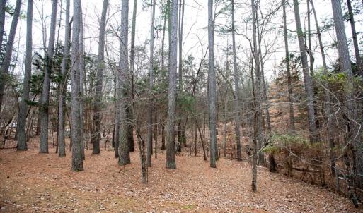 Photo #51 of 107 Cabells Court, Farmville, VA 0.4 acres