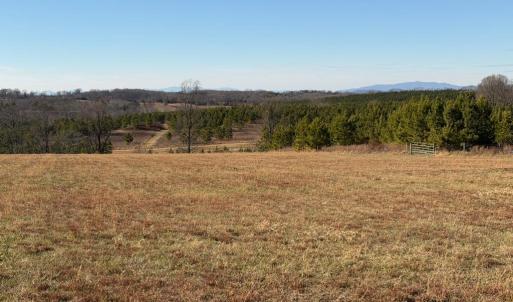 Photo #23 of 2779 Oakville Road, Appomattox, VA 14.5 acres