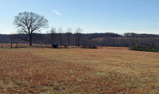 Photo #24 of 2779 Oakville Road, Appomattox, VA 14.5 acres