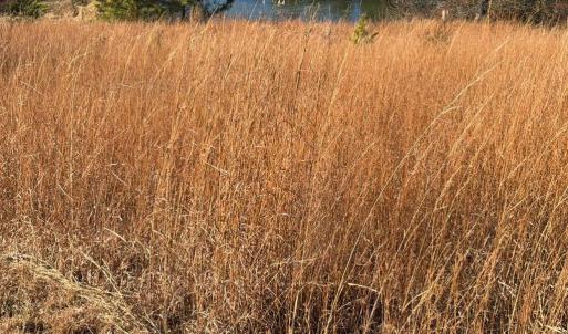 Photo #25 of 2779 Oakville Road, Appomattox, VA 14.5 acres