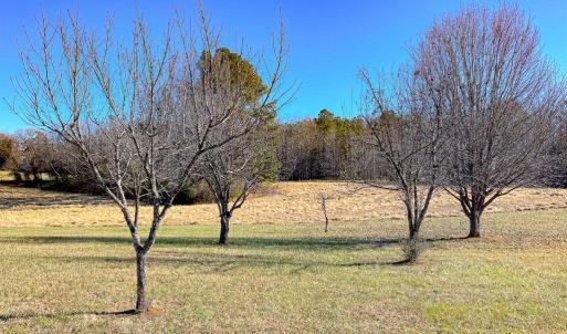 Photo #43 of 59 Taylor Farms Rd, Kenbridge, VA 8.7 acres