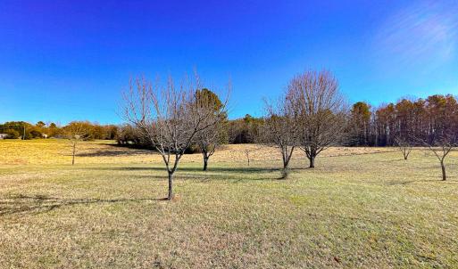 Photo #44 of 59 Taylor Farms Rd, Kenbridge, VA 8.7 acres