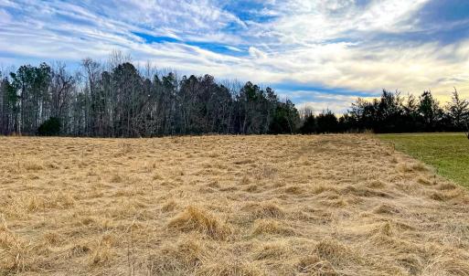 Photo #48 of 59 Taylor Farms Rd, Kenbridge, VA 8.7 acres