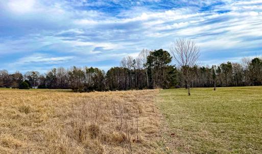 Photo #47 of 59 Taylor Farms Rd, Kenbridge, VA 8.7 acres