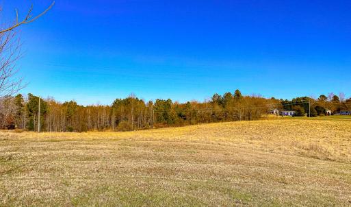 Photo #46 of 59 Taylor Farms Rd, Kenbridge, VA 8.7 acres