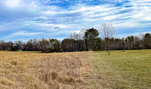 Photo #47 of 59 Taylor Farms Rd, Kenbridge, VA 8.7 acres