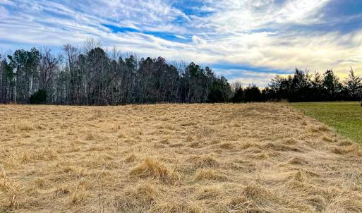 Photo #48 of 59 Taylor Farms Rd, Kenbridge, VA 8.7 acres