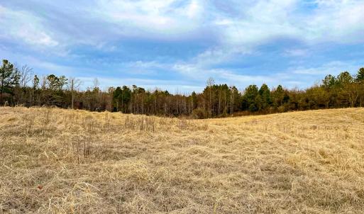 Photo #49 of 59 Taylor Farms Rd, Kenbridge, VA 8.7 acres