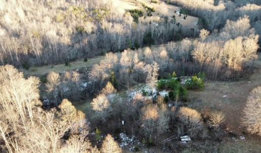 Photo #11 of 5540 Crumptown Road, Farmville, VA 24.7 acres