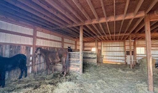 Photo #4 of 5540 Crumptown Road, Farmville, VA 24.7 acres