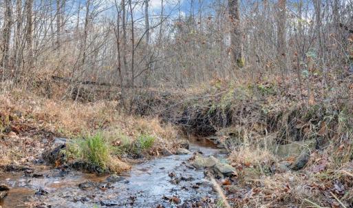 Photo #89 of 780 DRY BRIDGE RD, Farmville, VA 100.6 acres
