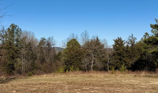 Photo #19 of 5532 Watt Abbitt Road, Appomattox, VA 26.7 acres