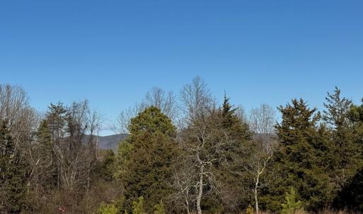 Photo #21 of 5532 Watt Abbitt Road, Appomattox, VA 26.7 acres