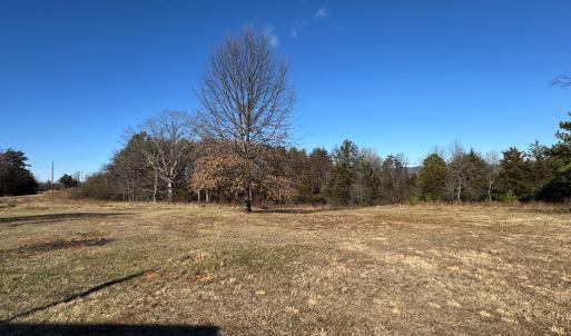 Photo #22 of 5532 Watt Abbitt Road, Appomattox, VA 26.7 acres