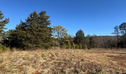 Photo #23 of 5532 Watt Abbitt Road, Appomattox, VA 26.7 acres