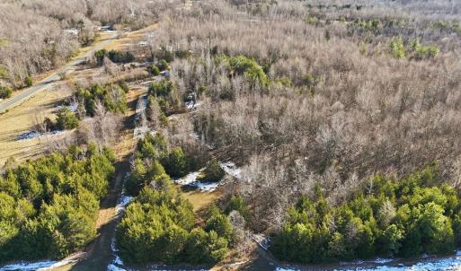 Photo #9 of 174 Mottley Mill Road, Cumberland, VA 40.5 acres
