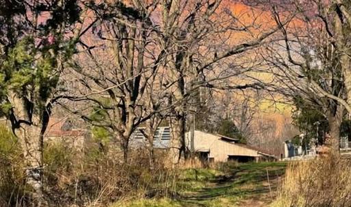 Photo #6 of 3970 Hungarytown Rd, Blackstone, VA 5.2 acres