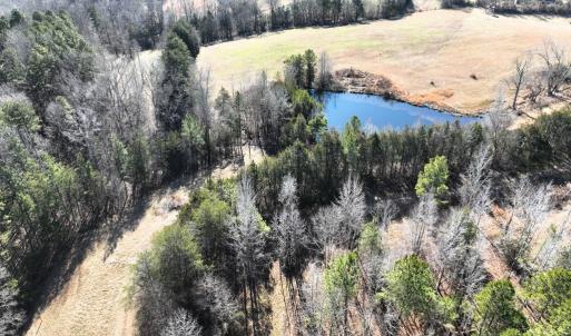 Photo #12 of 6840 Lunenburg County Road, Keysville, VA 45.2 acres