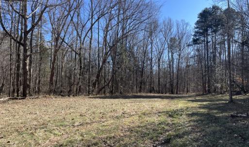 Photo #44 of 6840 Lunenburg County Road, Keysville, VA 45.2 acres