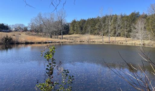 Photo #48 of 6840 Lunenburg County Road, Keysville, VA 45.2 acres