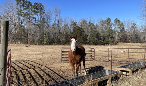 Photo #52 of 6840 Lunenburg County Road, Keysville, VA 45.2 acres