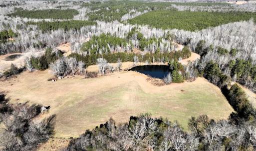 Photo #7 of 6840 Lunenburg County Road, Keysville, VA 45.2 acres