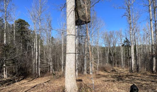 Photo #39 of 6840 Lunenburg County Road, Keysville, VA 45.2 acres