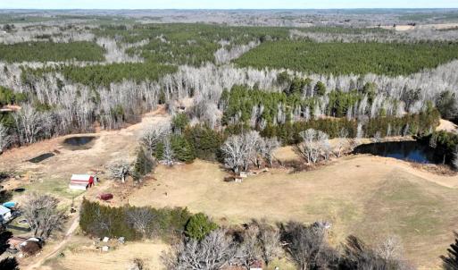 Photo #6 of 6840 Lunenburg County Road, Keysville, VA 45.2 acres