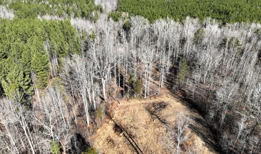 Photo #11 of 6840 Lunenburg County Road, Keysville, VA 45.2 acres