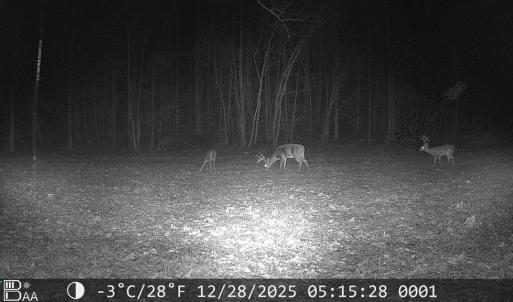 Photo #41 of 6840 Lunenburg County Road, Keysville, VA 45.2 acres