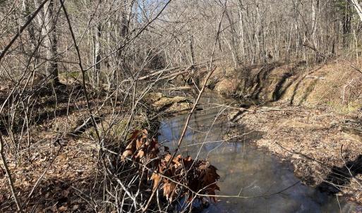 Photo #42 of 6840 Lunenburg County Road, Keysville, VA 45.2 acres